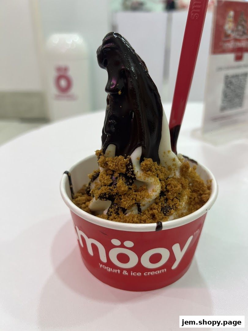 A delicious cup of smöoy yogurt and ice cream with chocolate sauce and cookie crumbles.