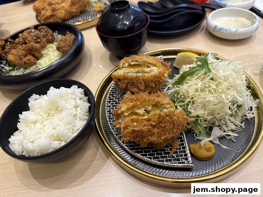 A close-up of a delicious tonkatsu meal with rice and salad.