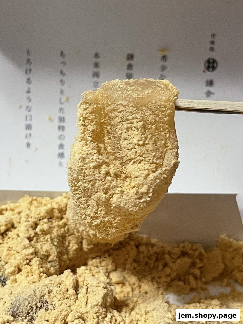 A close-up of Warabimochi dusted with kinako powder, held by a skewer.