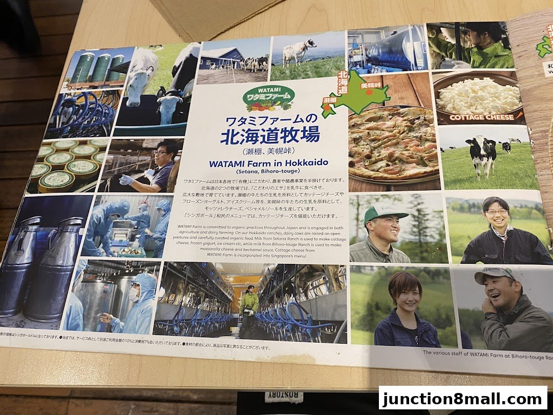 A brochure showcasing Watami Farm's Hokkaido dairy operations and products.