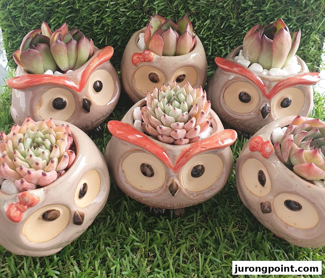 Six charming succulent plants in adorable owl-shaped ceramic pots on artificial grass.