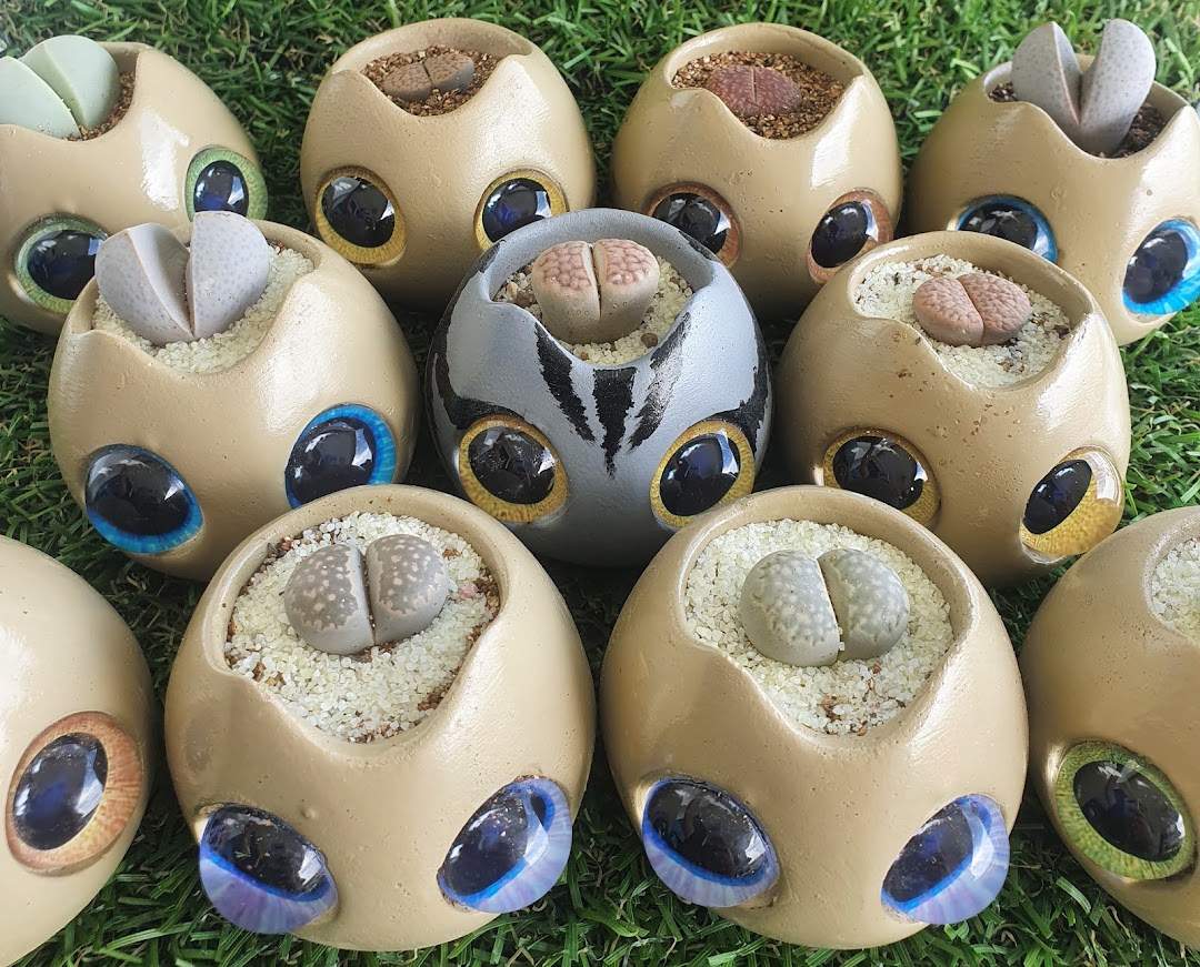 Several small succulents in whimsical, eye-shaped pots are displayed on a green, grassy surface.