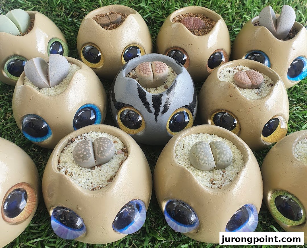 Several small succulents in whimsical, eye-shaped pots are displayed on a green, grassy surface.