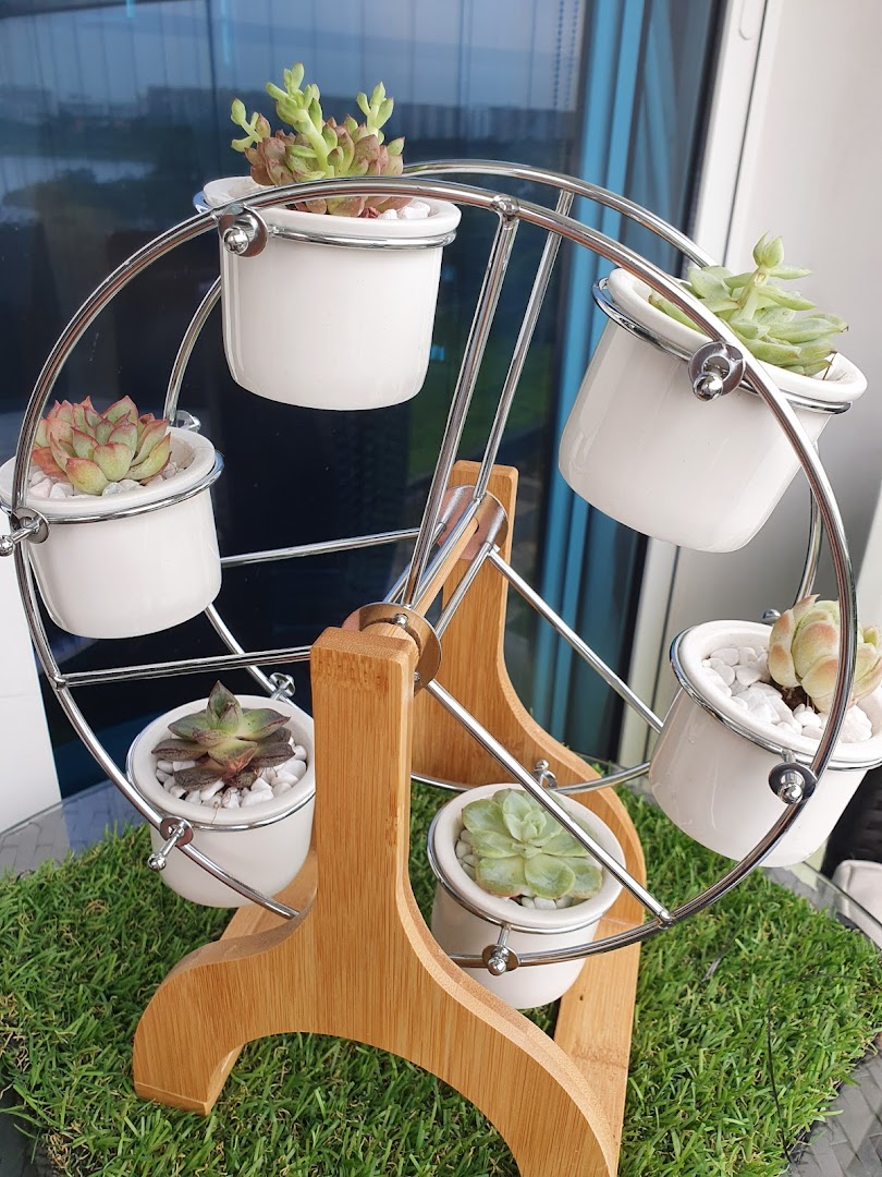A unique Ferris wheel planter display featuring various succulents in white pots.