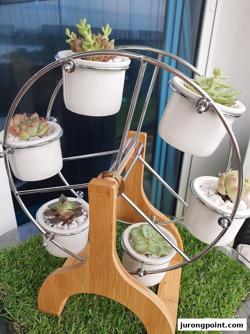 A unique Ferris wheel planter display featuring various succulents in white pots.