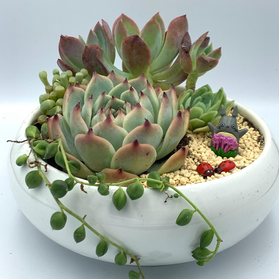 Green Thumb X