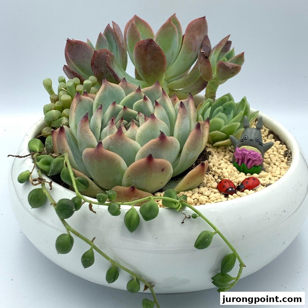 A charming succulent arrangement in a white pot with decorative figurines.