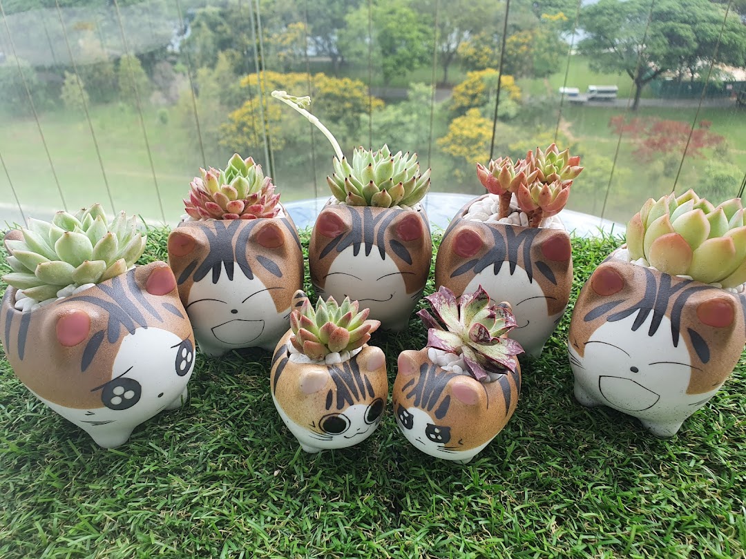 Adorable succulent plants in charming cat-themed pots displayed on artificial grass.