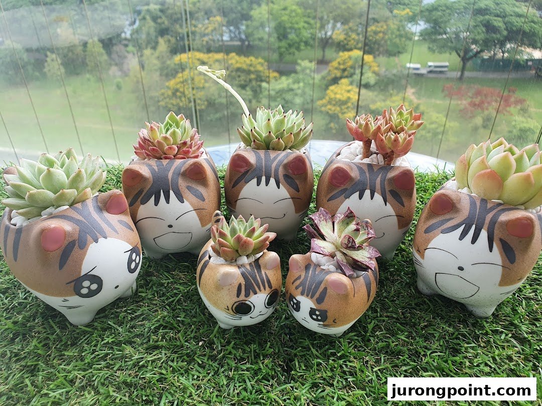 Adorable succulent plants in charming cat-themed pots displayed on artificial grass.
