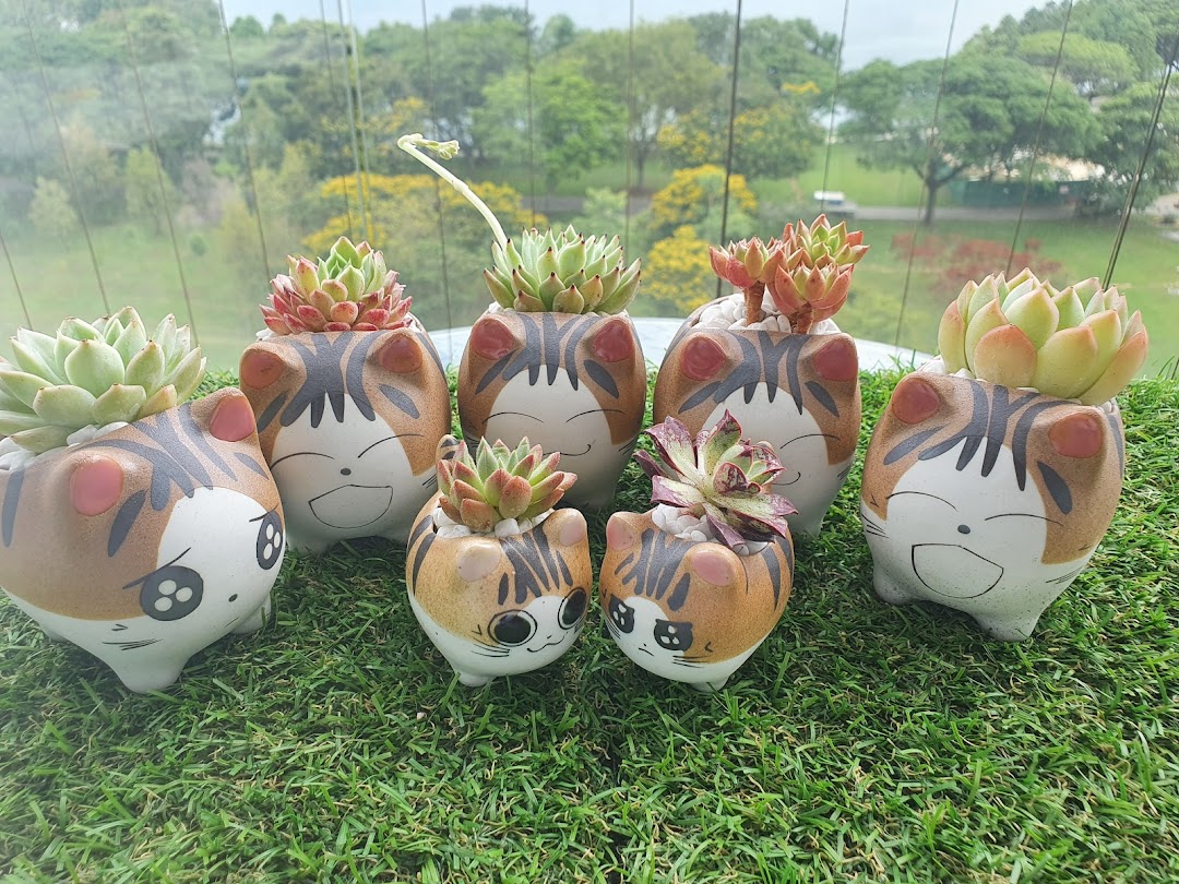 Adorable cat-themed succulent planters displayed on artificial grass with a natural background.
