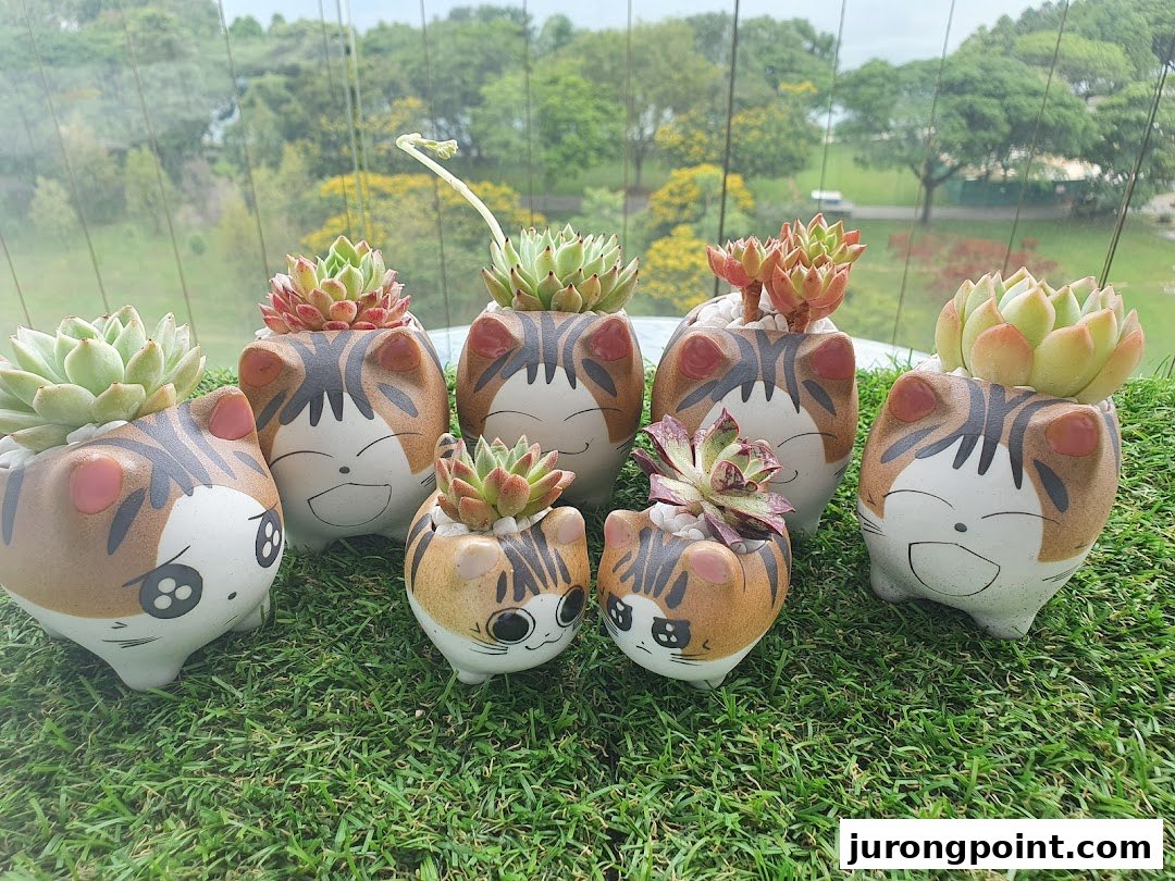 Adorable cat-themed succulent planters displayed on artificial grass with a natural background.
