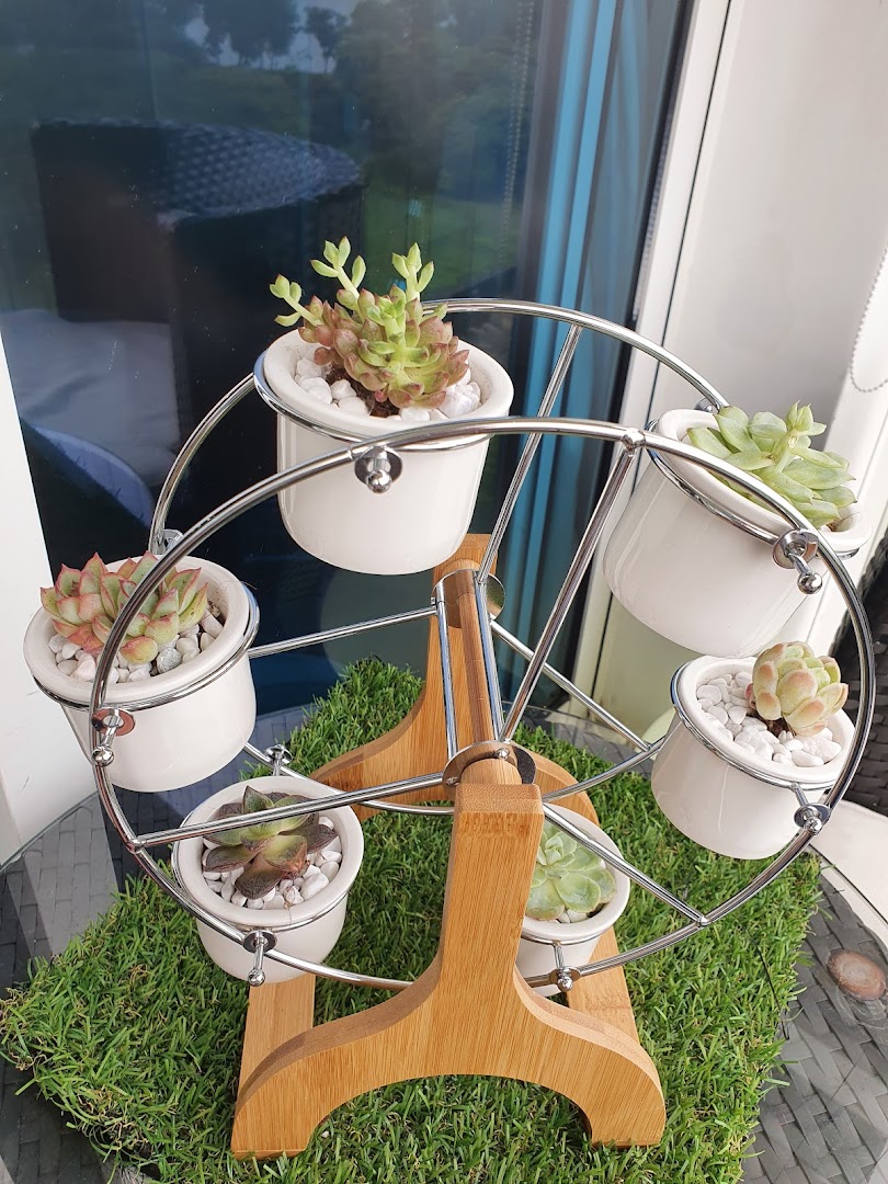 A decorative Ferris wheel stand displaying various small potted succulents on artificial grass.
