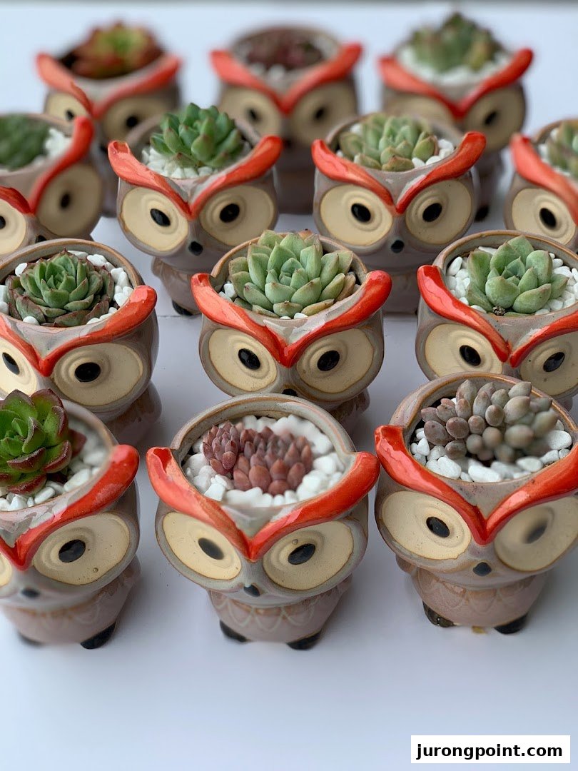 A collection of small succulent plants in adorable owl-shaped ceramic pots.