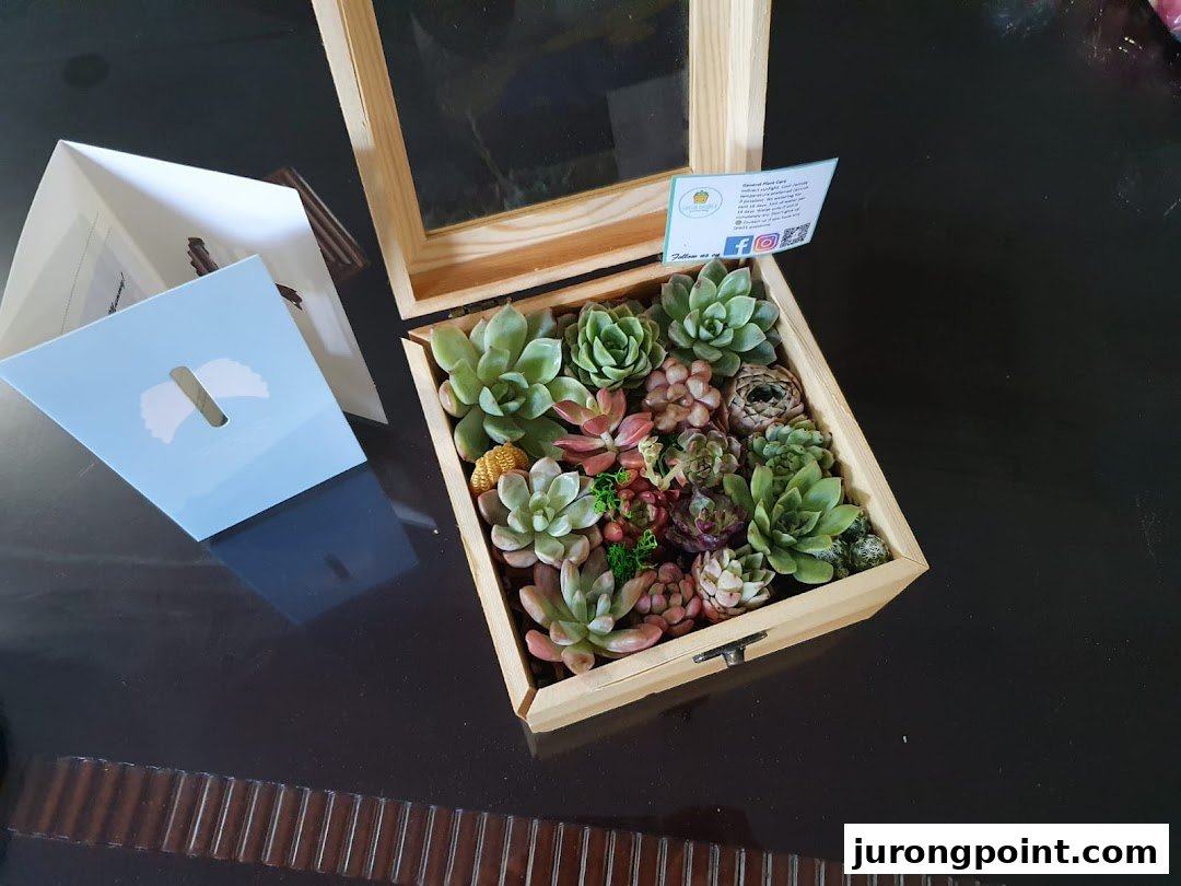 A beautiful wooden box arrangement of diverse succulents with a care guide and gift bag.