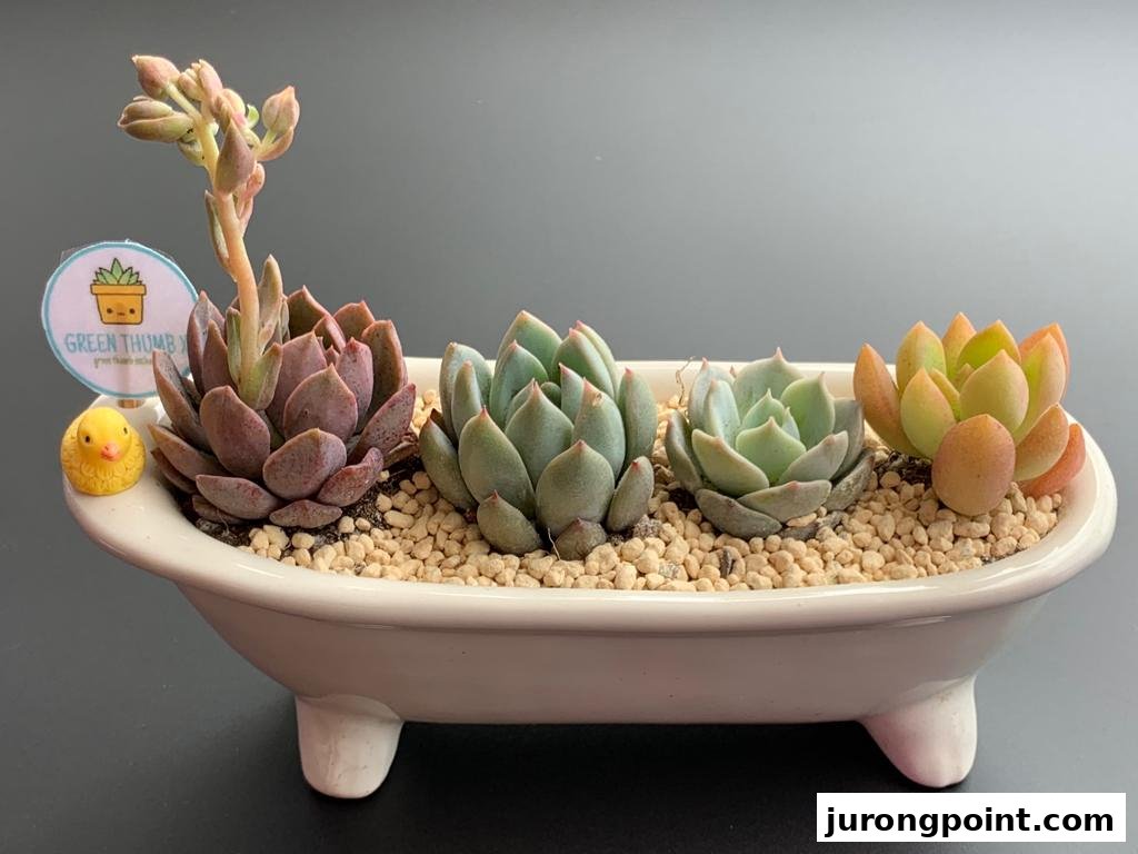 A charming arrangement of colorful succulents in a unique bathtub-shaped planter with a small duck figurine.