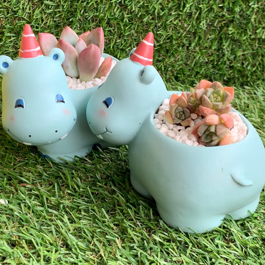 Two adorable light blue hippo planters with party hats, holding vibrant succulents on green grass.