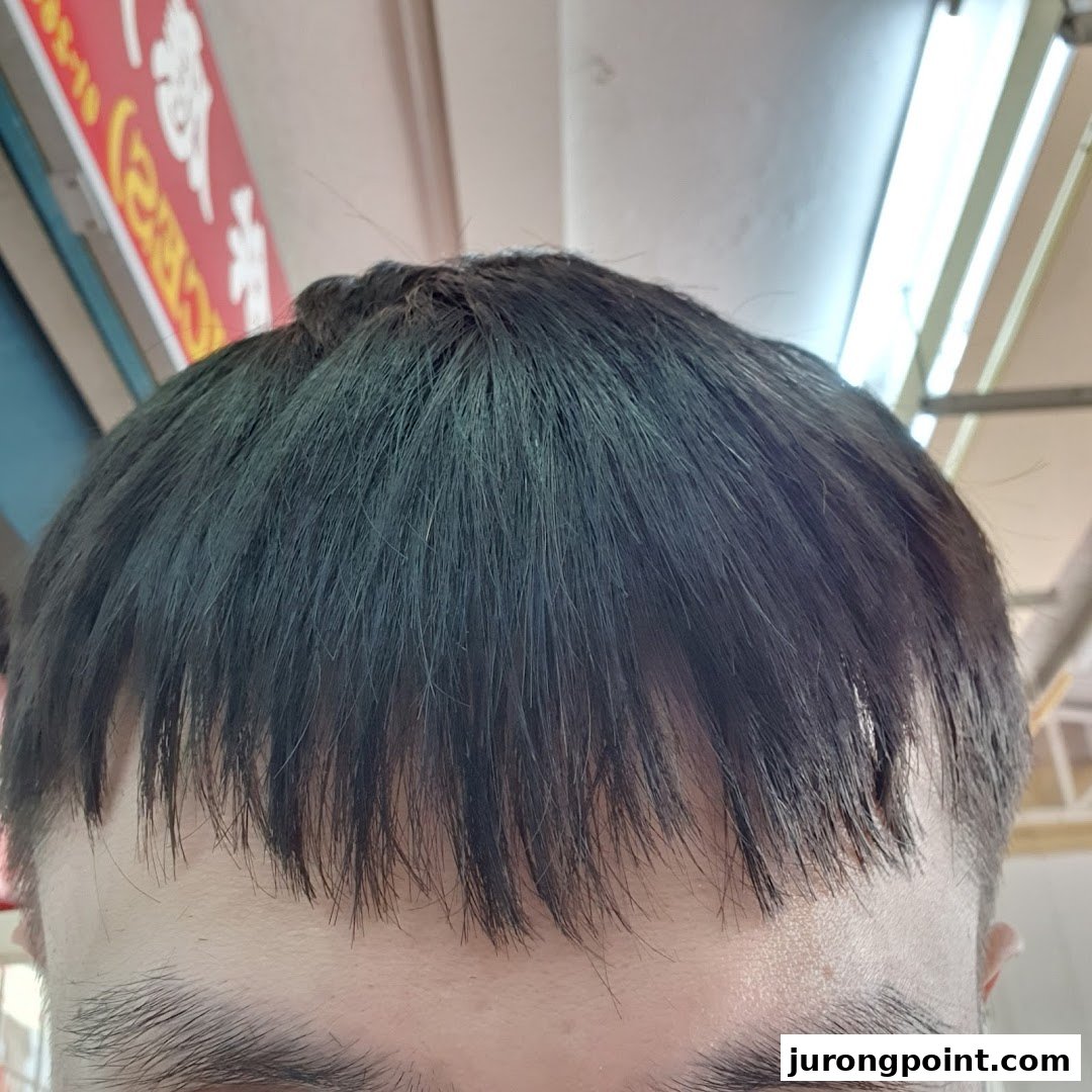 Close-up of a person's head showcasing a fresh haircut, likely a customer of HI Salon.