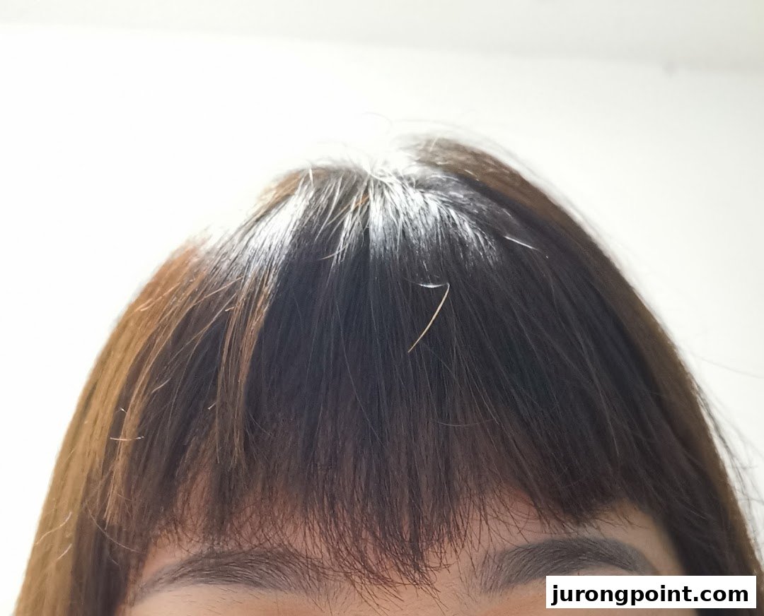A close-up of a person's hair and eyebrows, highlighting hair texture and color.
