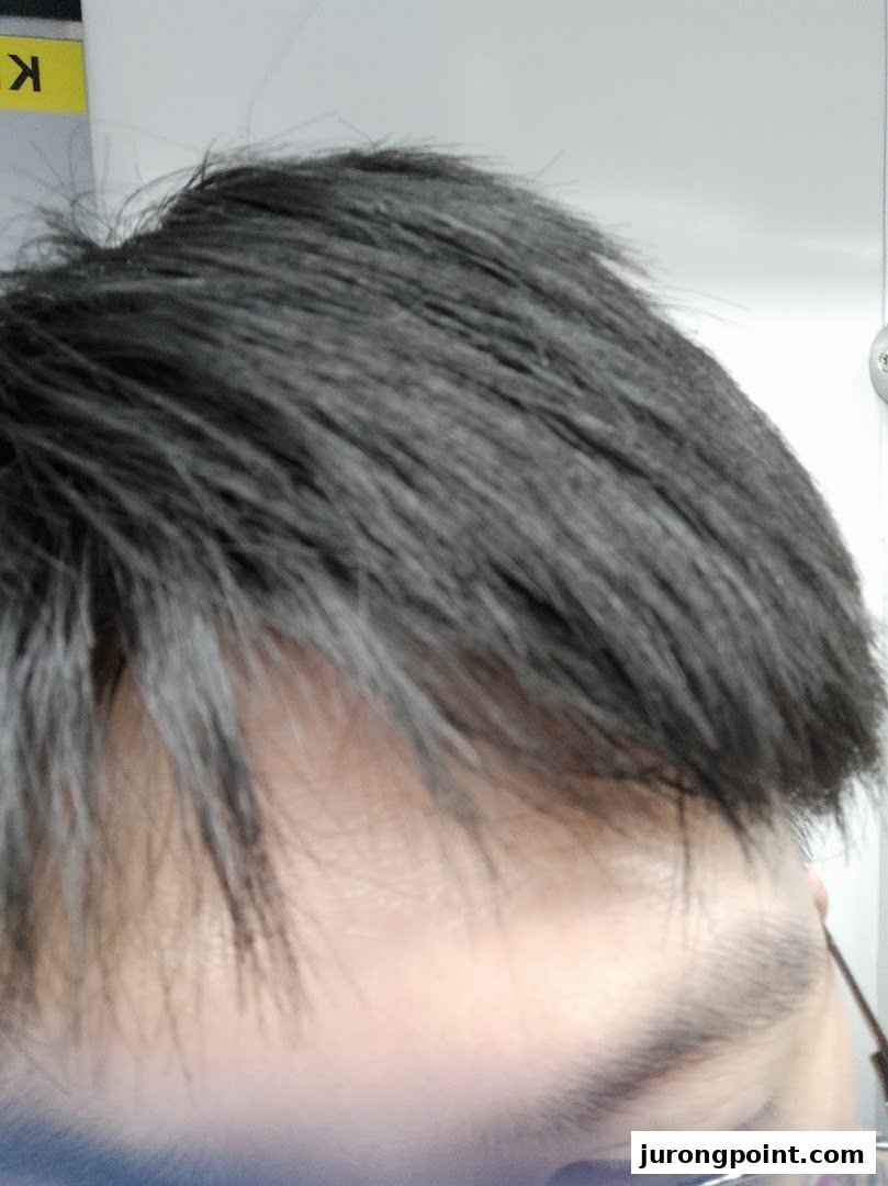 Close-up of a person's dark hair and temple area, possibly showcasing a hair texture or style.
