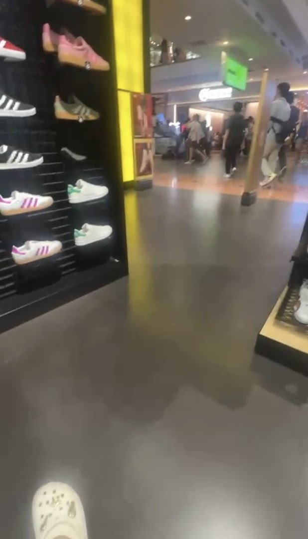 Interior view of JD Sports showcasing various sneakers on display shelves.