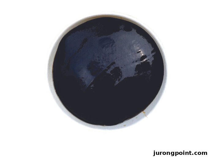 A top-down view of a dark, glossy dessert in a white bowl, likely a jelly or paste.