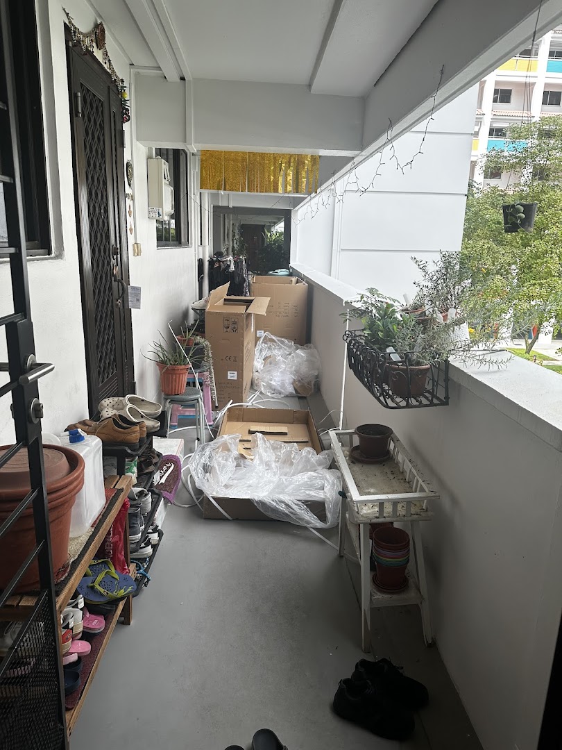 A cluttered back-of-house area with unpacked product boxes, personal items, and plants.