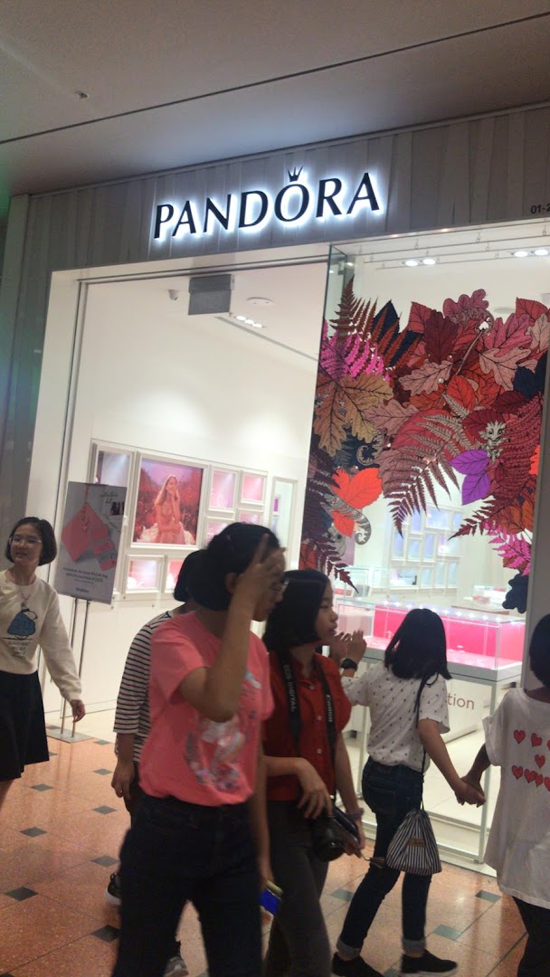 The Pandora jewelry store entrance with its illuminated sign and a decorative window display.