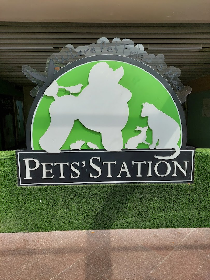 The vibrant green and black shop sign for Pets Station, featuring various animal silhouettes.