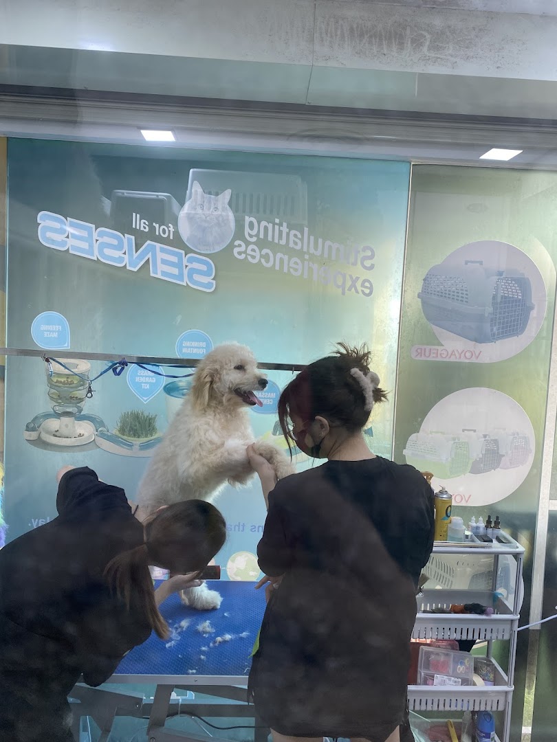 Pets Station image 21