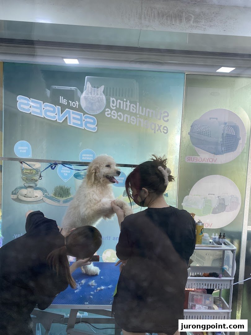 Pets Station image 21