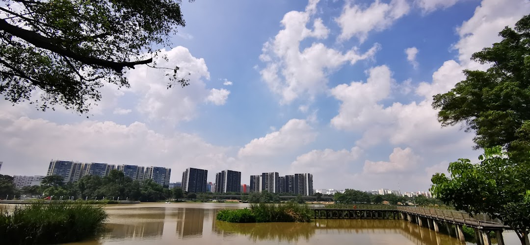 A serene lake with distant city buildings under a bright, cloudy sky, framed by lush trees.