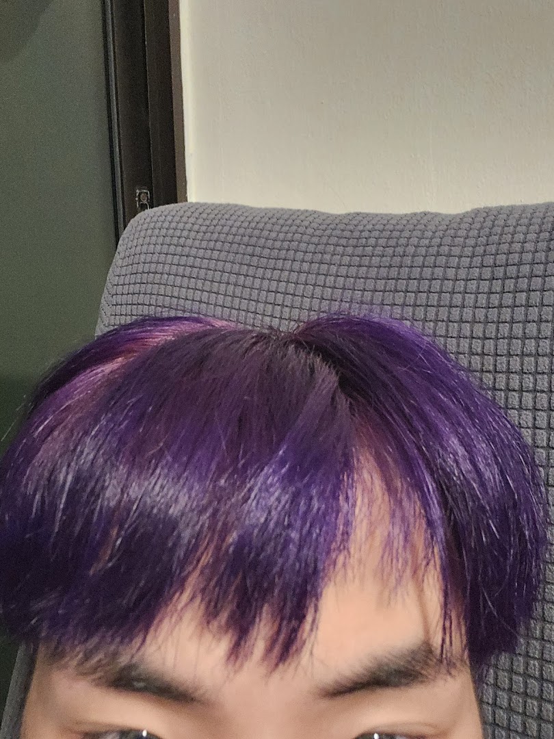 Close-up of a person with vibrant purple hair, showcasing a bold new look.