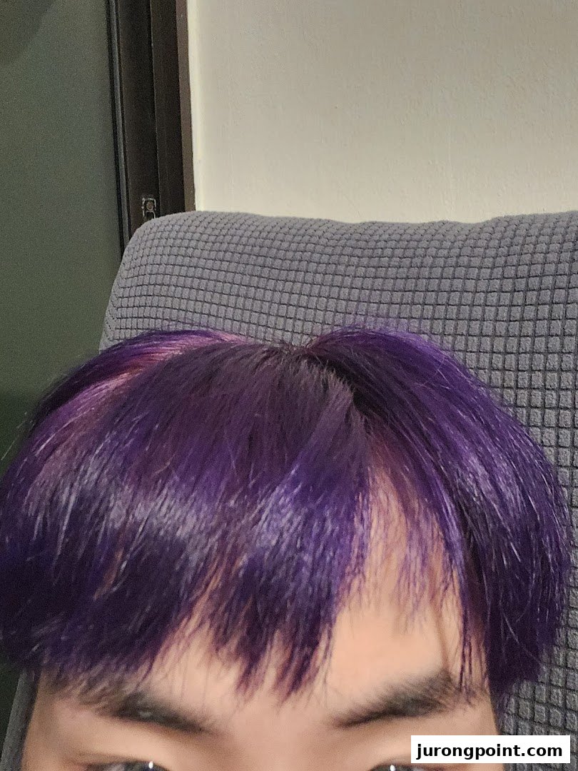 Close-up of a person with vibrant purple hair, showcasing a bold new look.