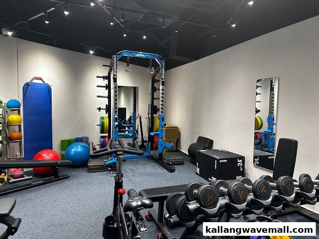An interior view of a modern sports performance and physiotherapy clinic with various fitness equipment.