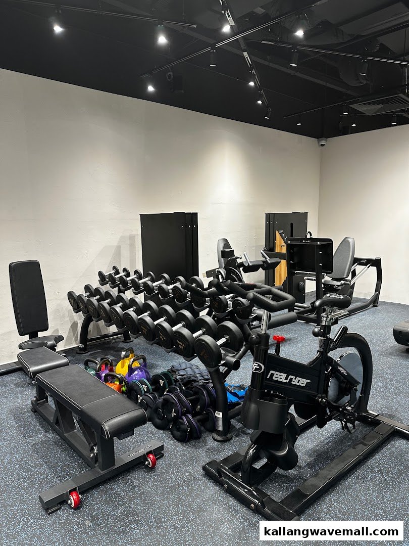 Interior view of a modern sports performance clinic with various gym equipment.