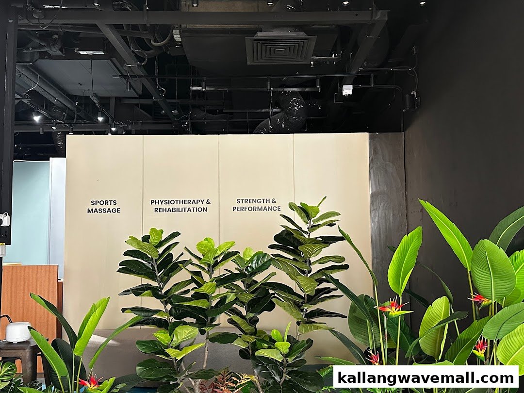 Interior view of BMJ Physio & Sports Performance Clinic, highlighting services and lush greenery.