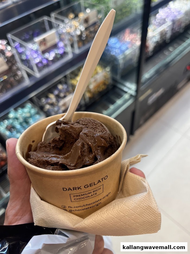 A hand holds a cup of rich dark chocolate gelato with a spoon, showcasing the dessert.