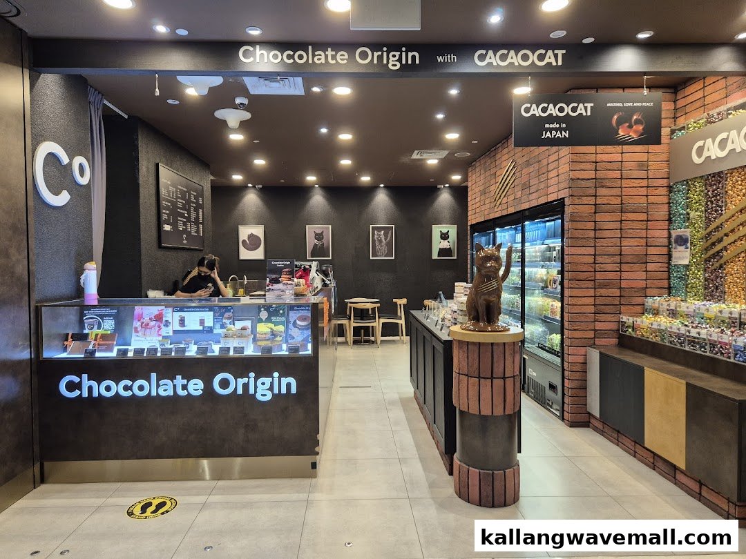 The inviting interior of Chocolate Origin, showcasing its display counter, seating, and a CACAOCAT section.
