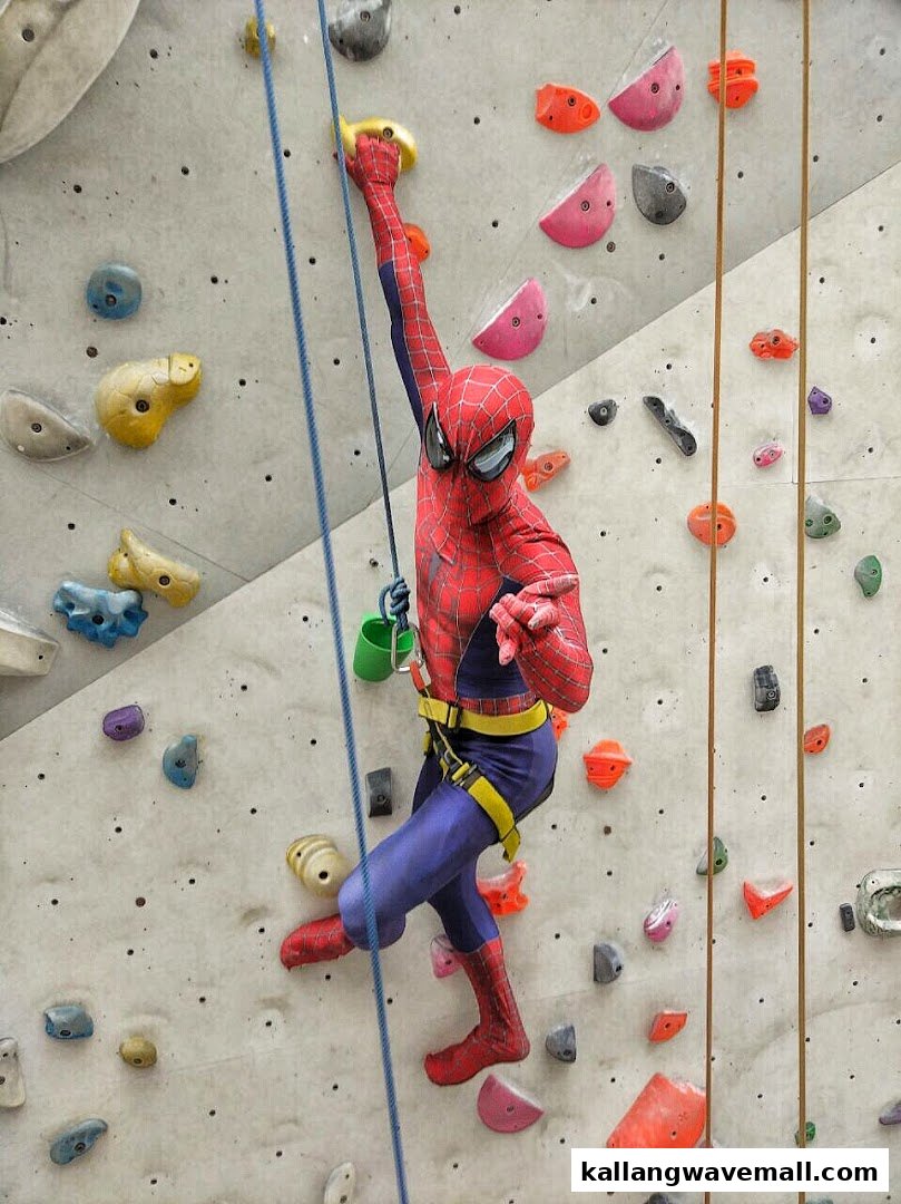 A person dressed as Spiderman scales an indoor rock climbing wall, secured by ropes.