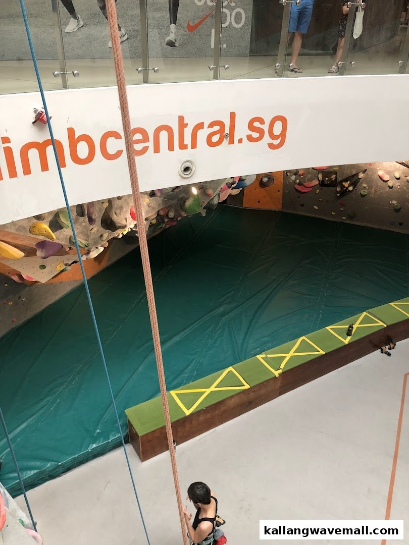 An indoor climbing gym featuring bouldering walls, safety mats, and a climber with ropes.