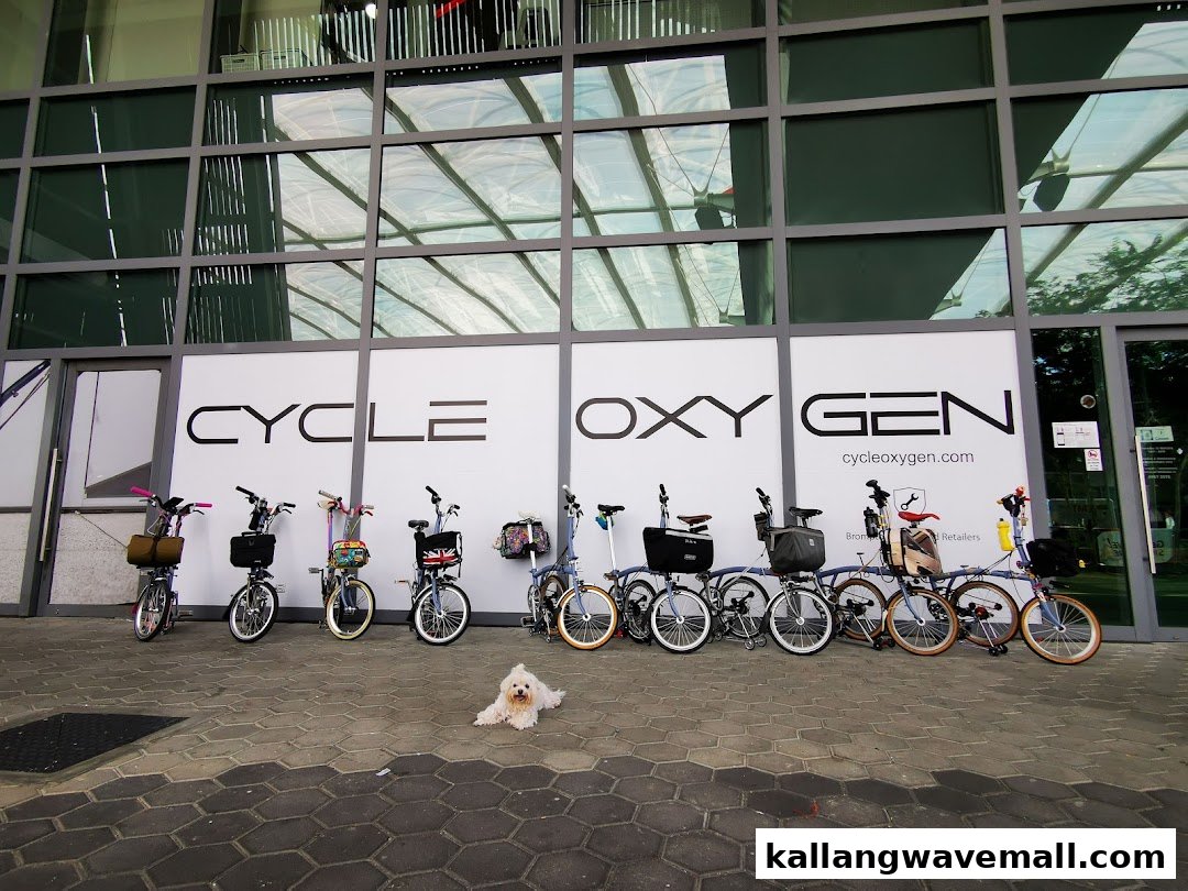 The CycleOxygen shopfront features a line of bicycles and a small dog, showcasing its urban cycling focus.