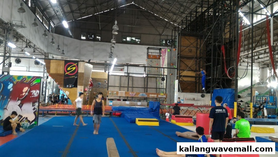A spacious indoor gym with bouldering walls, gymnastics equipment, and aerial silks, featuring active participants.