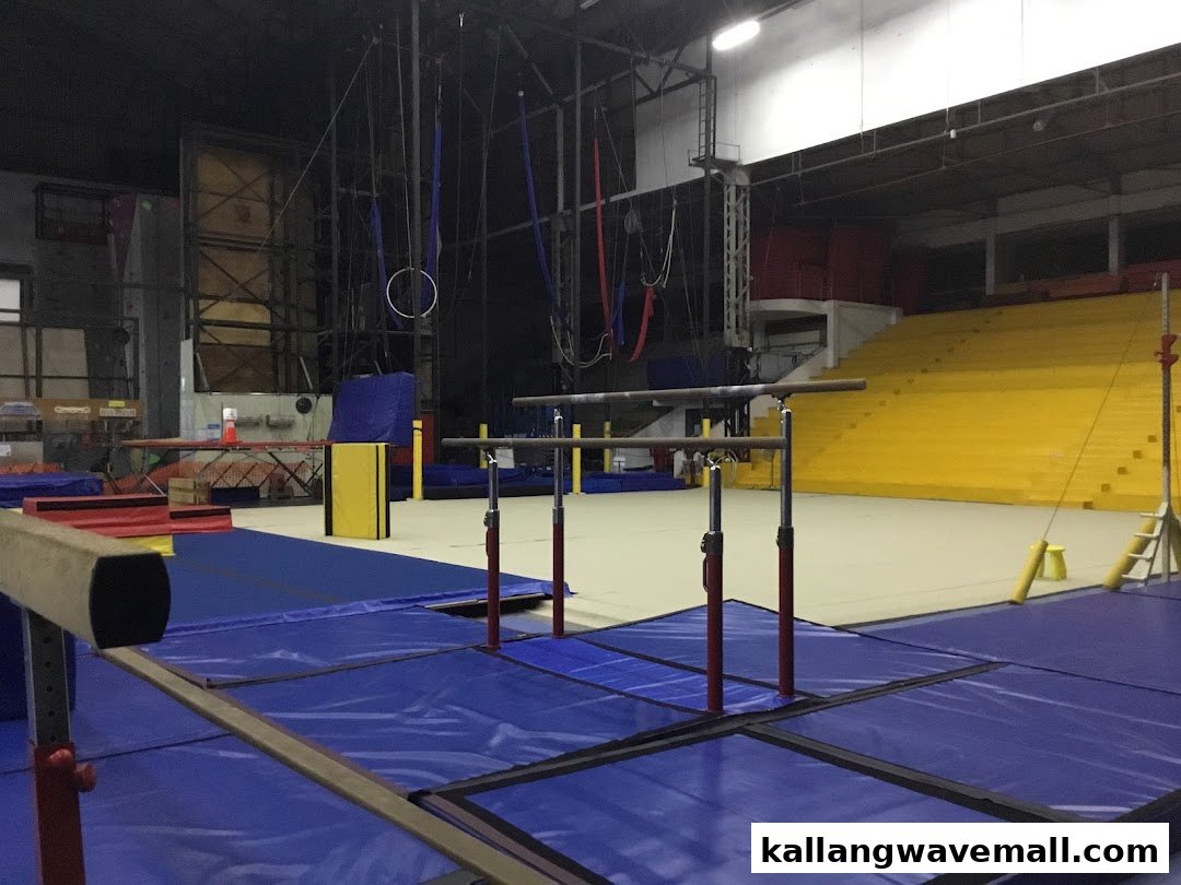 An indoor gymnastics and aerial arts training facility with various equipment and spectator seating.