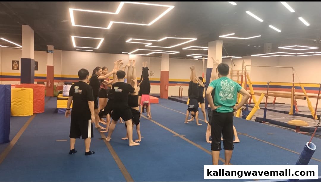 People practicing handstands and gymnastics in a spacious, well-lit gym with blue mats.