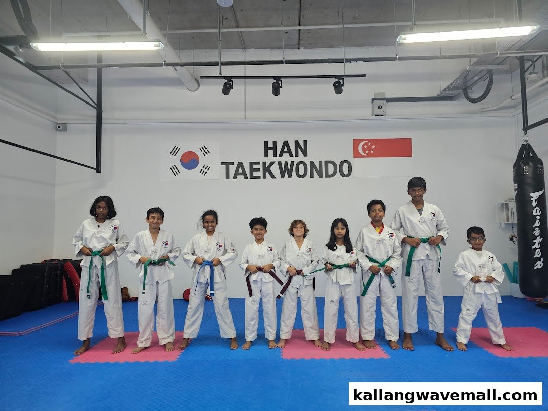 Children in white uniforms and colored belts posing in a Taekwondo studio.