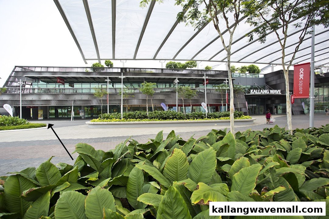 Exterior view of the modern Kallang Wave building, home to various sports and lifestyle facilities.