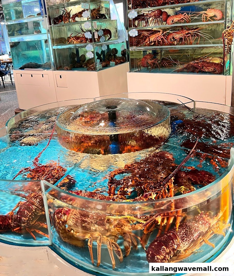 Live lobsters and other fresh seafood are displayed in large tanks at a restaurant.