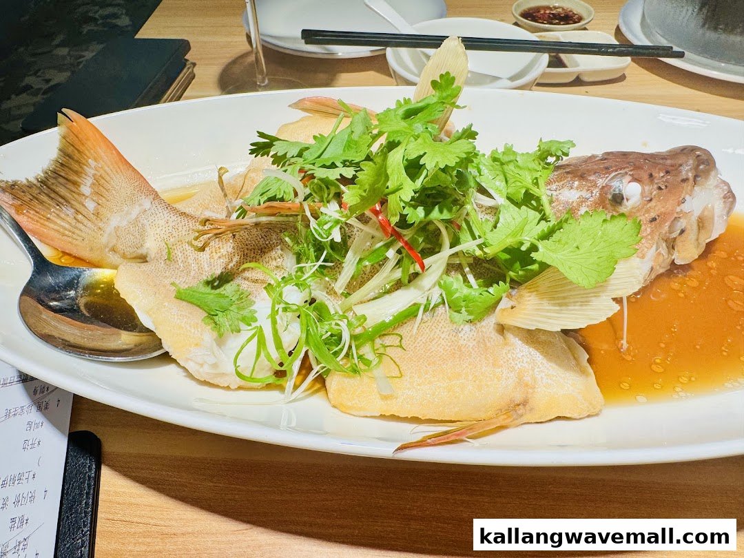 A large, perfectly steamed fish garnished with fresh cilantro and scallions in a savory sauce.