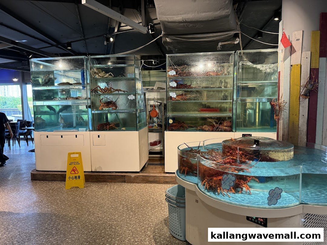 Interior view of a seafood restaurant featuring multiple large tanks filled with live lobsters, crabs, and fish.