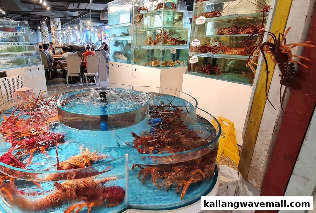 An interior view of a seafood restaurant featuring multiple tanks filled with live lobsters and other crustaceans.